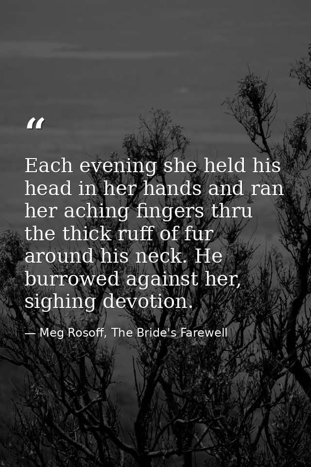 Each evening she held his head in her hands and ran her aching fingers thru the thick ruff of fur around his neck. He bu — Meg Rosoff, The Bride's Farewell