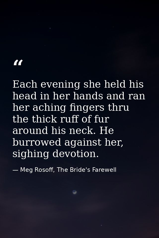 Each evening she held his head in her hands and ran her aching fingers thru the thick ruff of fur around his neck. He bu — Meg Rosoff, The Bride's Farewell
