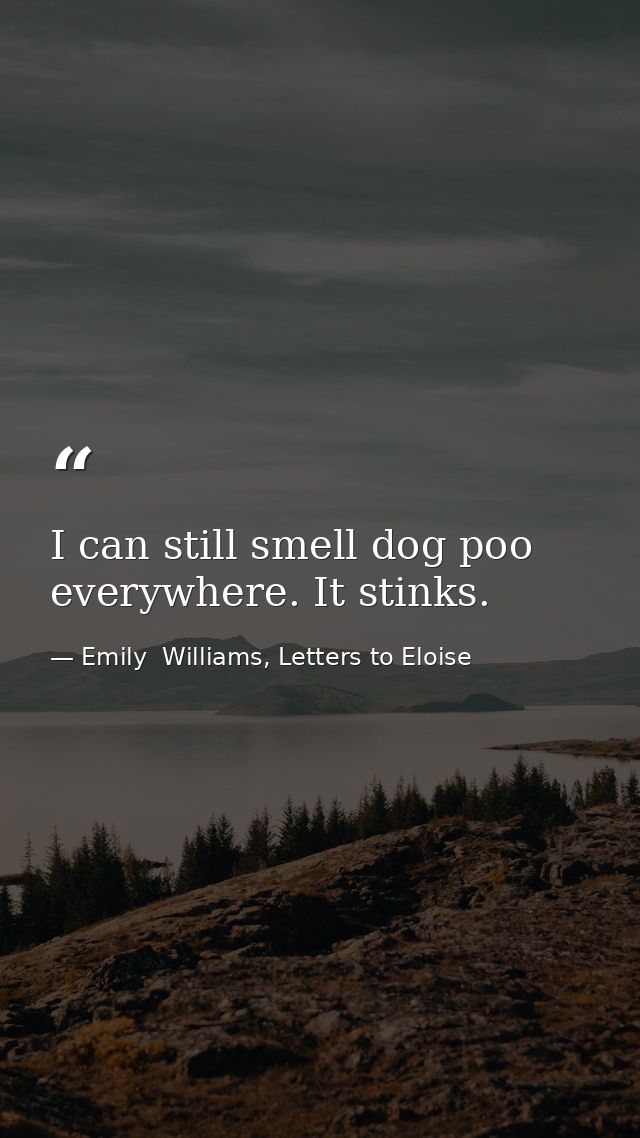I can still smell dog poo everywhere. It stinks. — Emily  Williams, Letters to Eloise