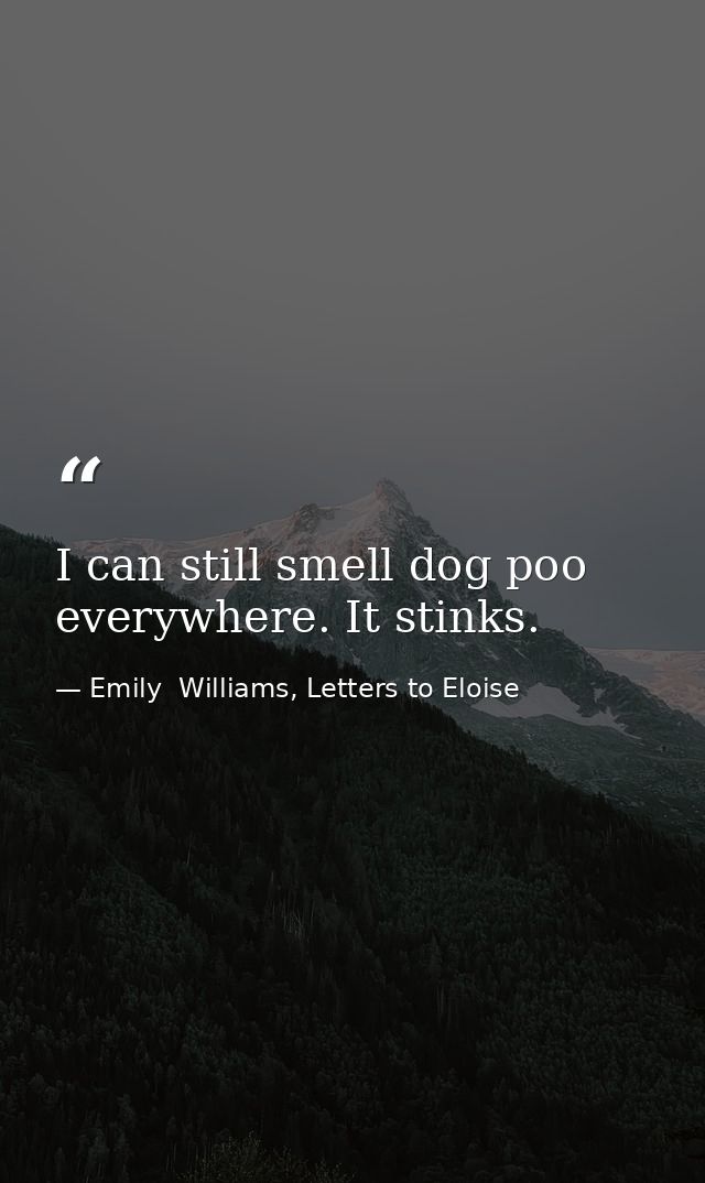 I can still smell dog poo everywhere. It stinks. — Emily  Williams, Letters to Eloise