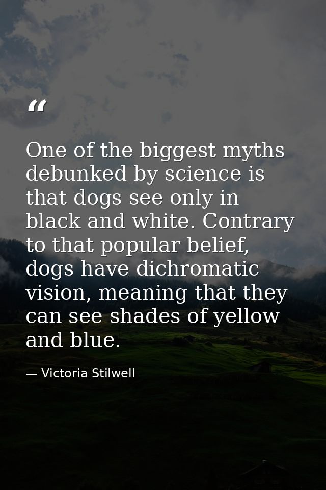 One of the biggest myths debunked by science is that dogs see only in black and white. Contrary to that popular belief,  — Victoria Stilwell