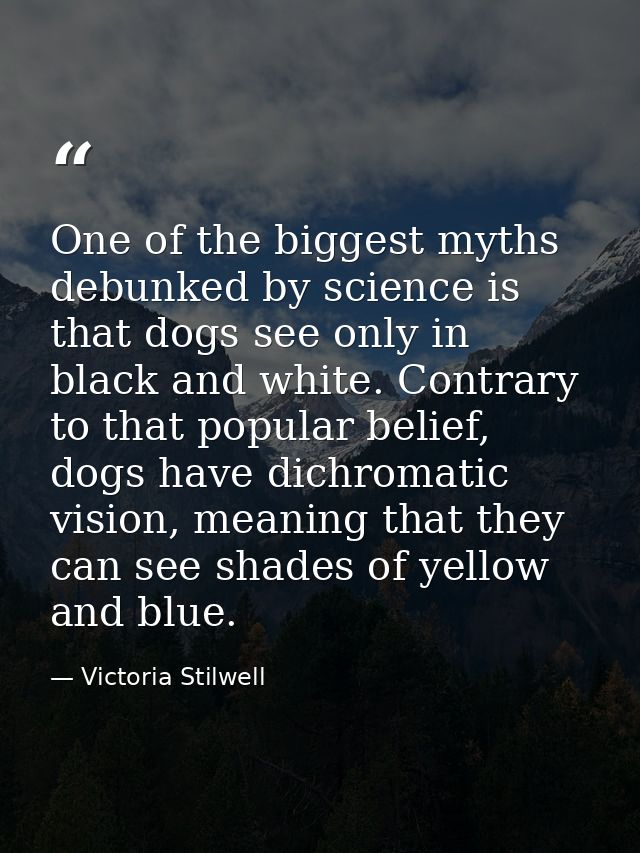 One of the biggest myths debunked by science is that dogs see only in black and white. Contrary to that popular belief,  — Victoria Stilwell