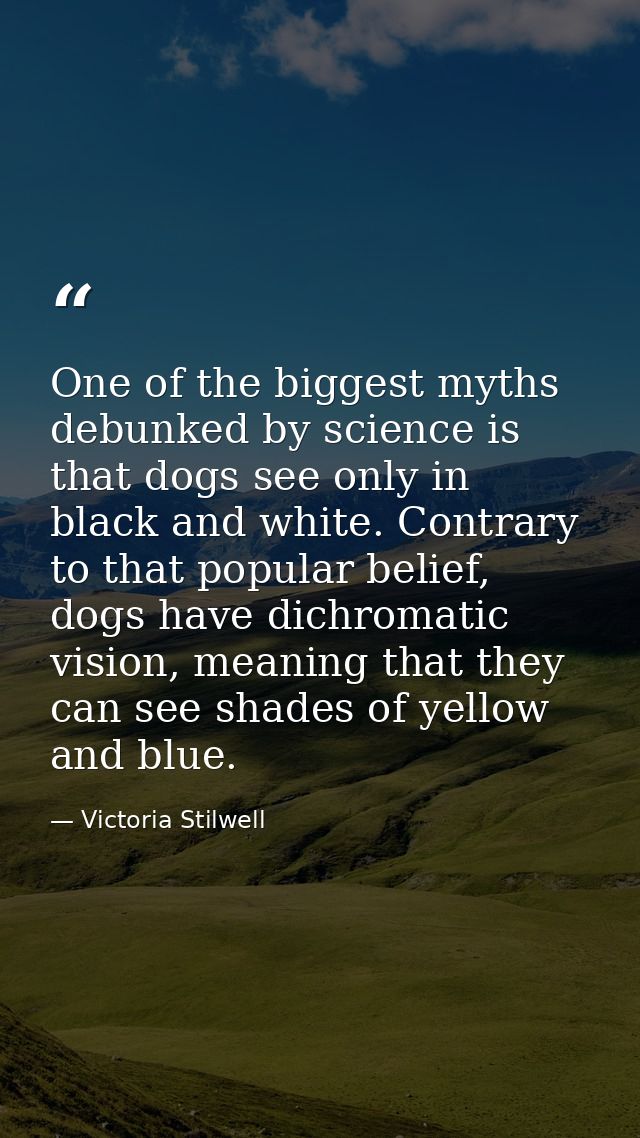 One of the biggest myths debunked by science is that dogs see only in black and white. Contrary to that popular belief,  — Victoria Stilwell