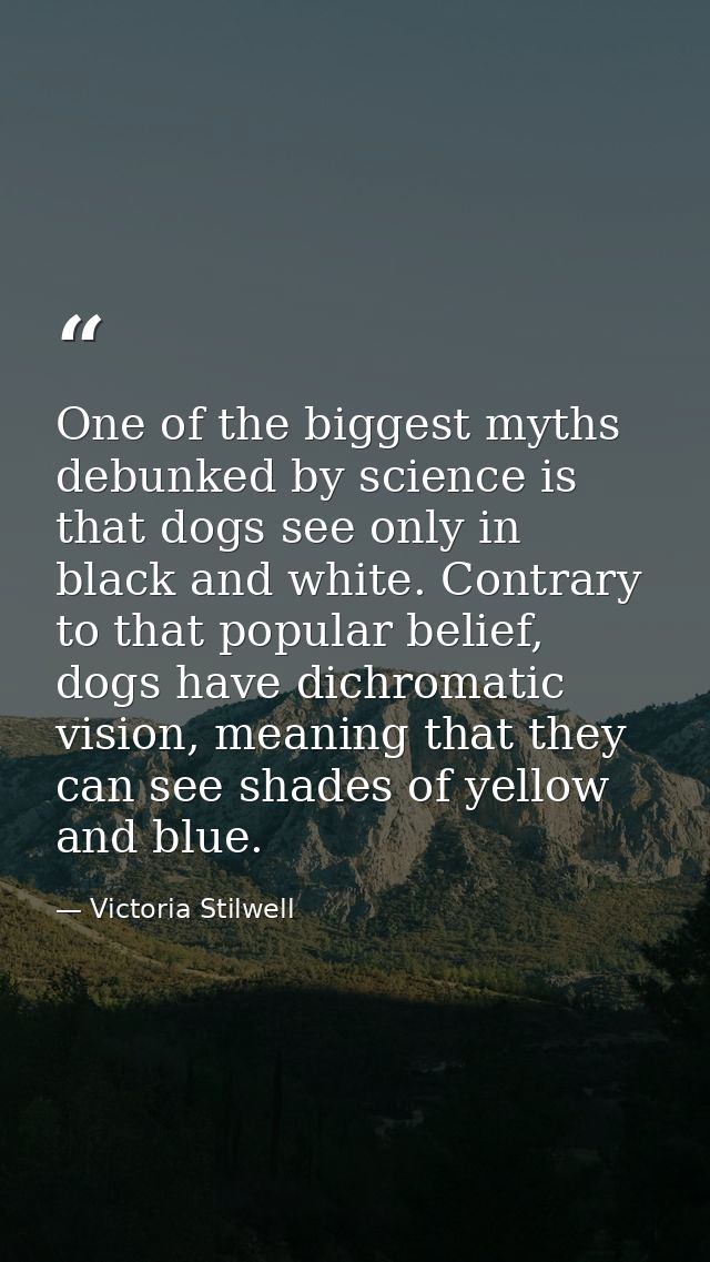 One of the biggest myths debunked by science is that dogs see only in black and white. Contrary to that popular belief,  — Victoria Stilwell