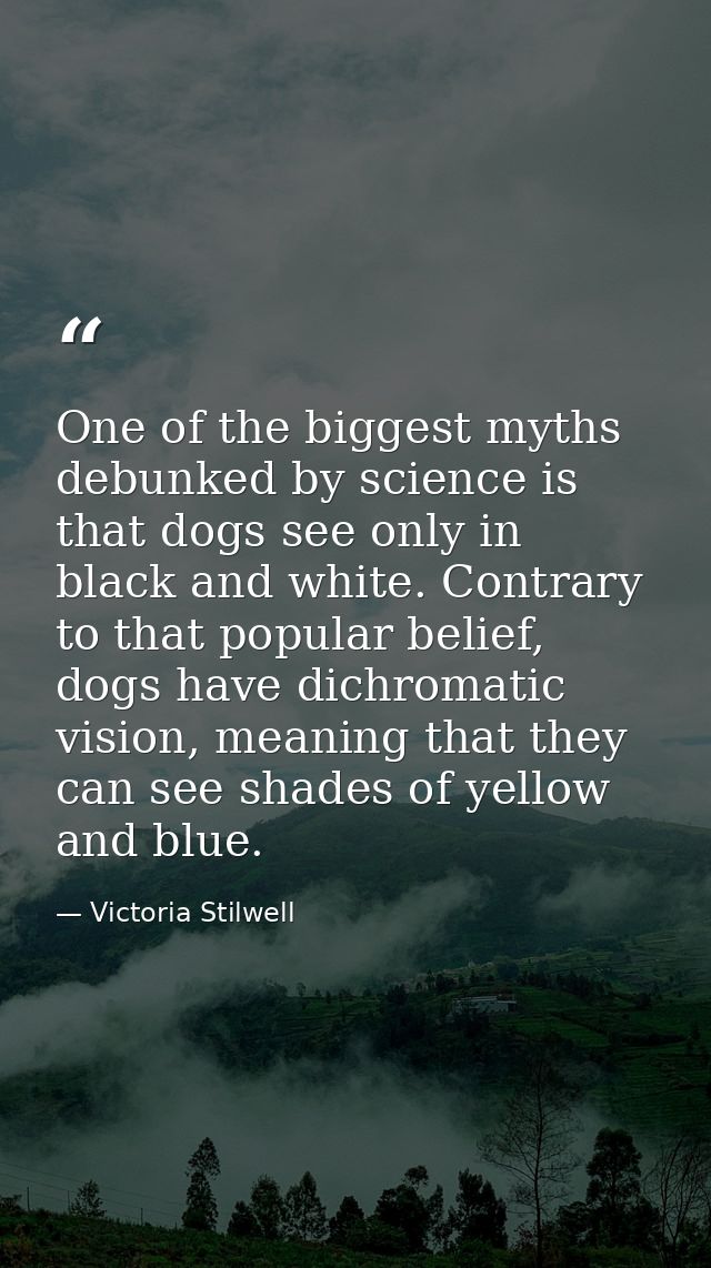 One of the biggest myths debunked by science is that dogs see only in black and white. Contrary to that popular belief,  — Victoria Stilwell