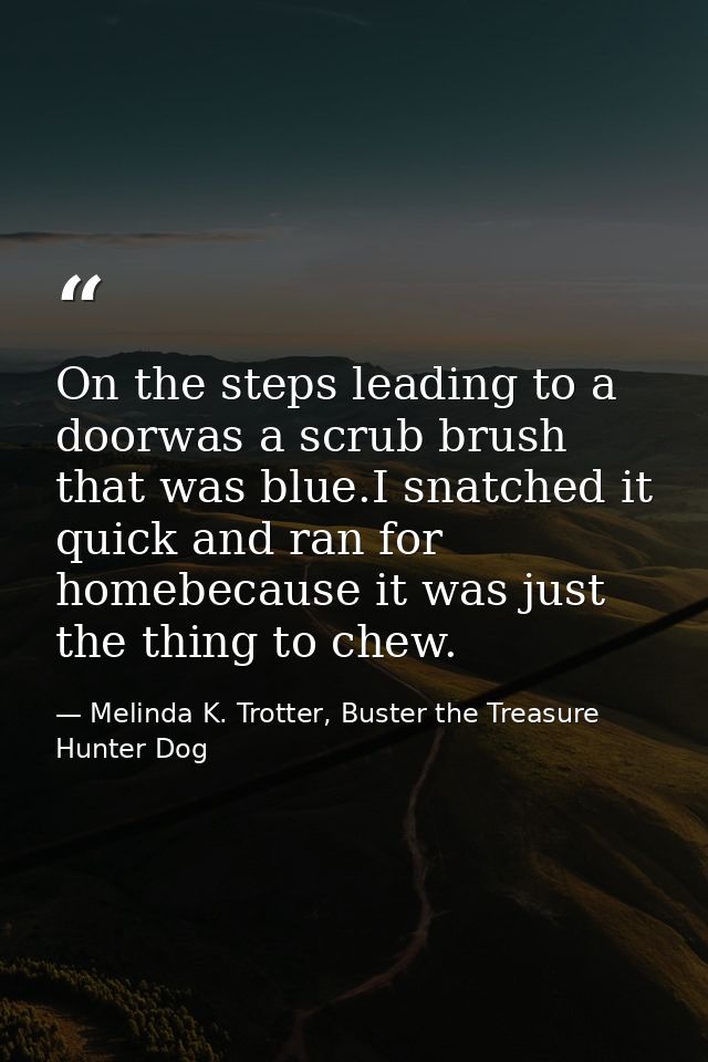 On the steps leading to a doorwas a scrub brush that was blue.I snatched it quick and ran for homebecause it was just th — Melinda K. Trotter, Buster the Treasure Hunter Dog