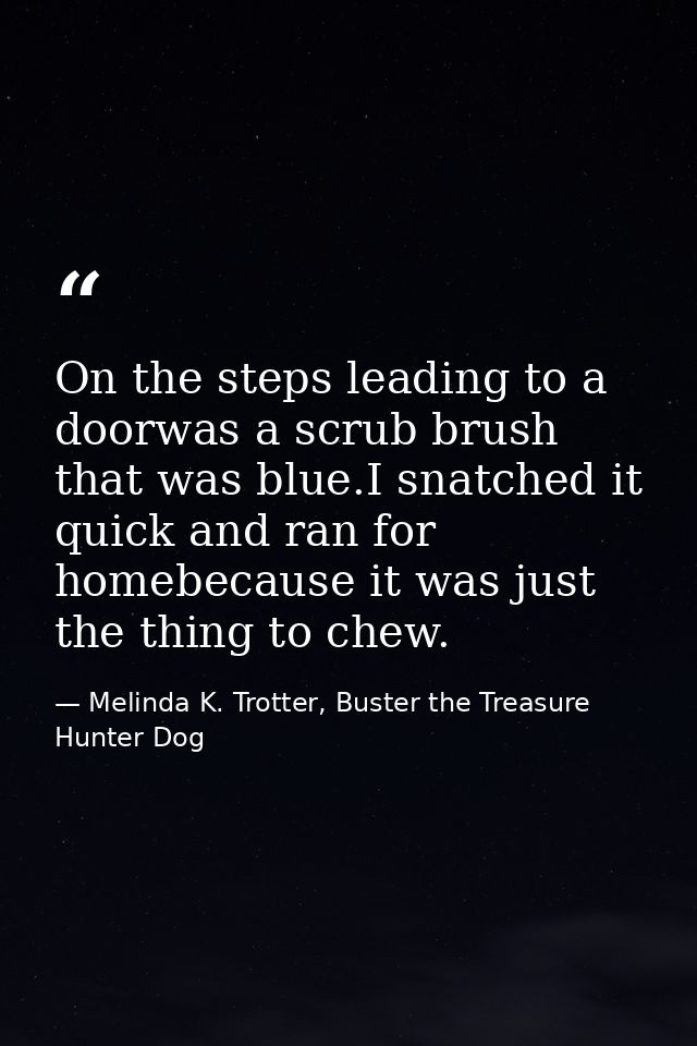 On the steps leading to a doorwas a scrub brush that was blue.I snatched it quick and ran for homebecause it was just th — Melinda K. Trotter, Buster the Treasure Hunter Dog