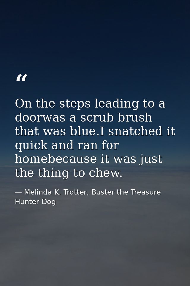 On the steps leading to a doorwas a scrub brush that was blue.I snatched it quick and ran for homebecause it was just th — Melinda K. Trotter, Buster the Treasure Hunter Dog