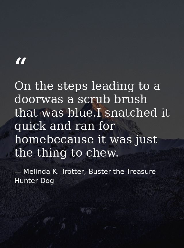 On the steps leading to a doorwas a scrub brush that was blue.I snatched it quick and ran for homebecause it was just th — Melinda K. Trotter, Buster the Treasure Hunter Dog