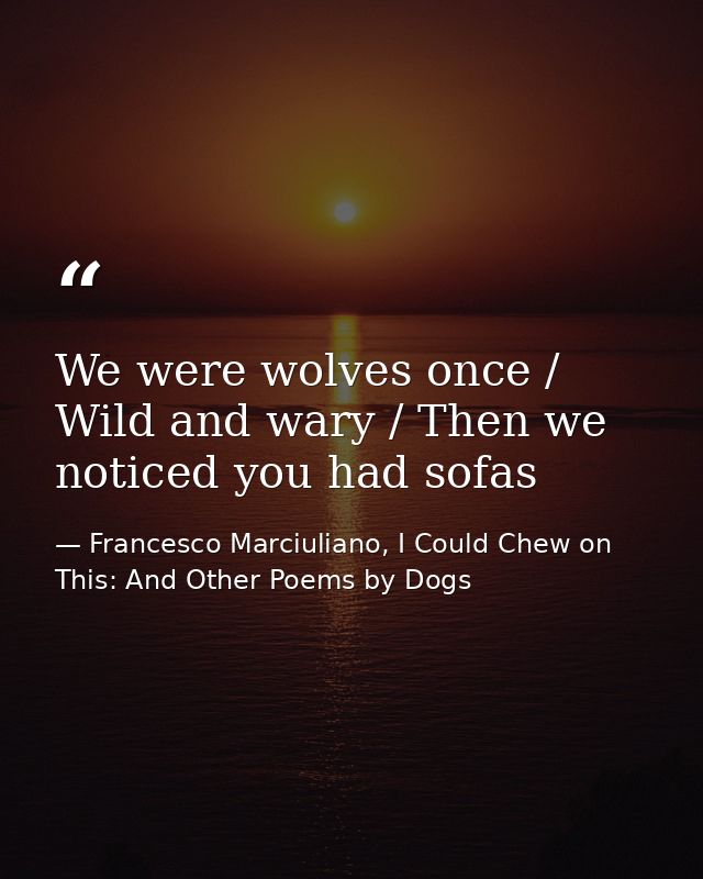 We were wolves once / Wild and wary / Then we noticed you had sofas — Francesco Marciuliano, I Could Chew on This: And Other Poems by Dogs