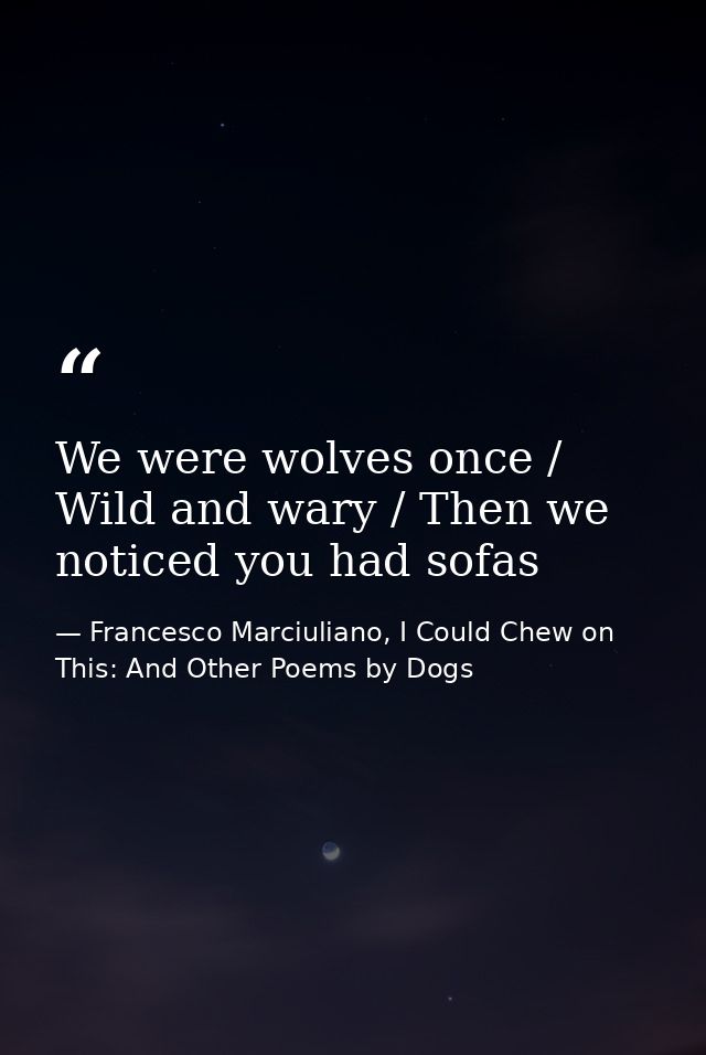 We were wolves once / Wild and wary / Then we noticed you had sofas — Francesco Marciuliano, I Could Chew on This: And Other Poems by Dogs