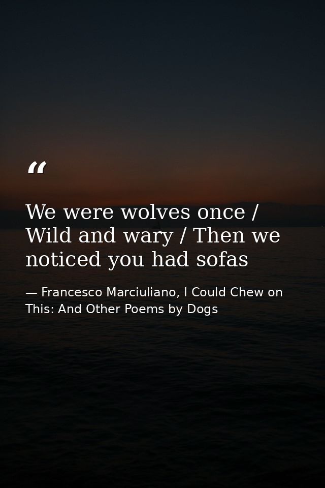We were wolves once / Wild and wary / Then we noticed you had sofas — Francesco Marciuliano, I Could Chew on This: And Other Poems by Dogs