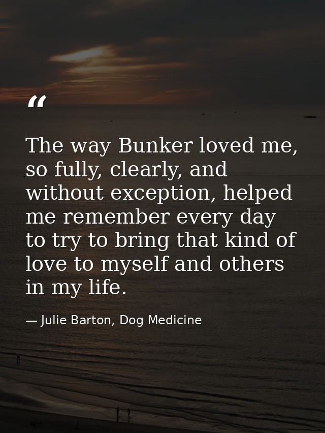 The way Bunker loved me, so fully, clearly, and without exception, helped me remember every day to try to bring that kin — Julie Barton, Dog Medicine