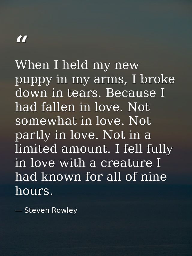 When I held my new puppy in my arms, I broke down in tears. Because I had fallen in love. Not somewhat in love. Not part — Steven Rowley