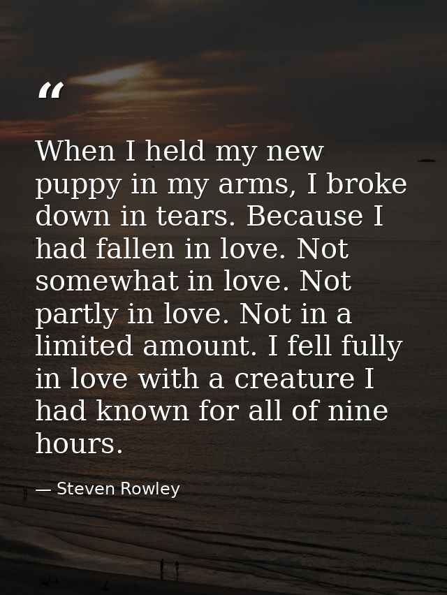 When I held my new puppy in my arms, I broke down in tears. Because I had fallen in love. Not somewhat in love. Not part — Steven Rowley