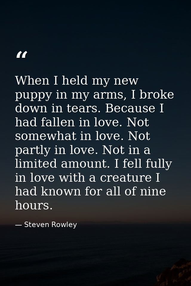 When I held my new puppy in my arms, I broke down in tears. Because I had fallen in love. Not somewhat in love. Not part — Steven Rowley