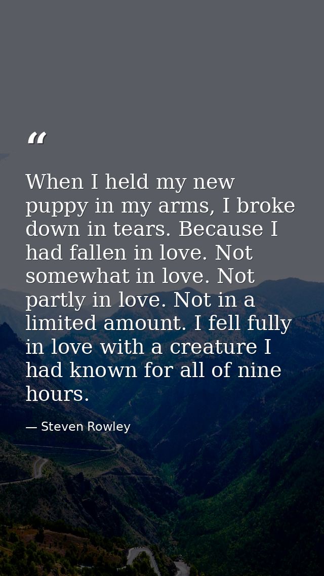 When I held my new puppy in my arms, I broke down in tears. Because I had fallen in love. Not somewhat in love. Not part — Steven Rowley