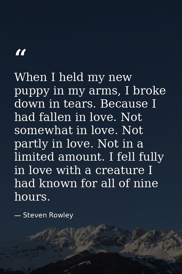 When I held my new puppy in my arms, I broke down in tears. Because I had fallen in love. Not somewhat in love. Not part — Steven Rowley
