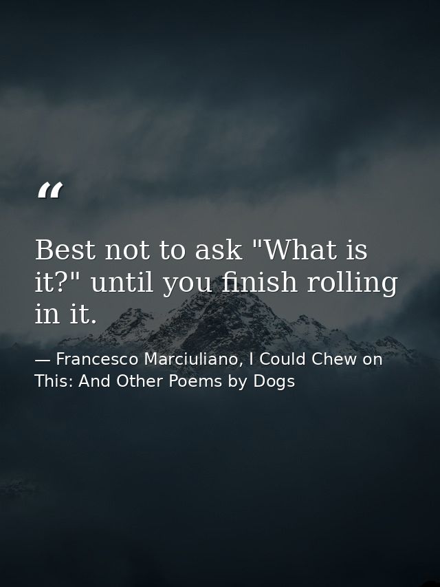 Best not to ask "What is it?" until you finish rolling in it. — Francesco Marciuliano, I Could Chew on This: And Other Poems by Dogs