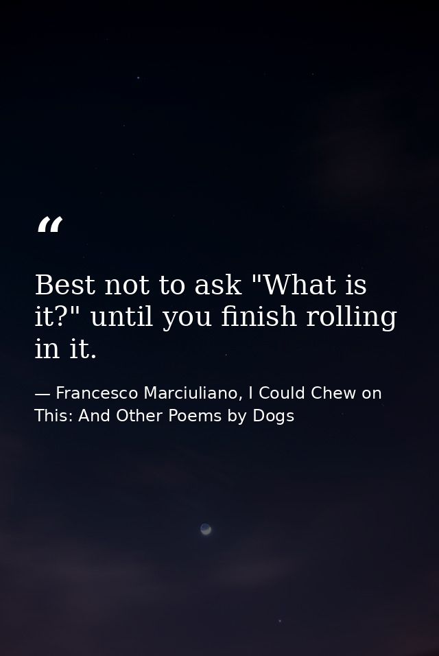 Best not to ask "What is it?" until you finish rolling in it. — Francesco Marciuliano, I Could Chew on This: And Other Poems by Dogs