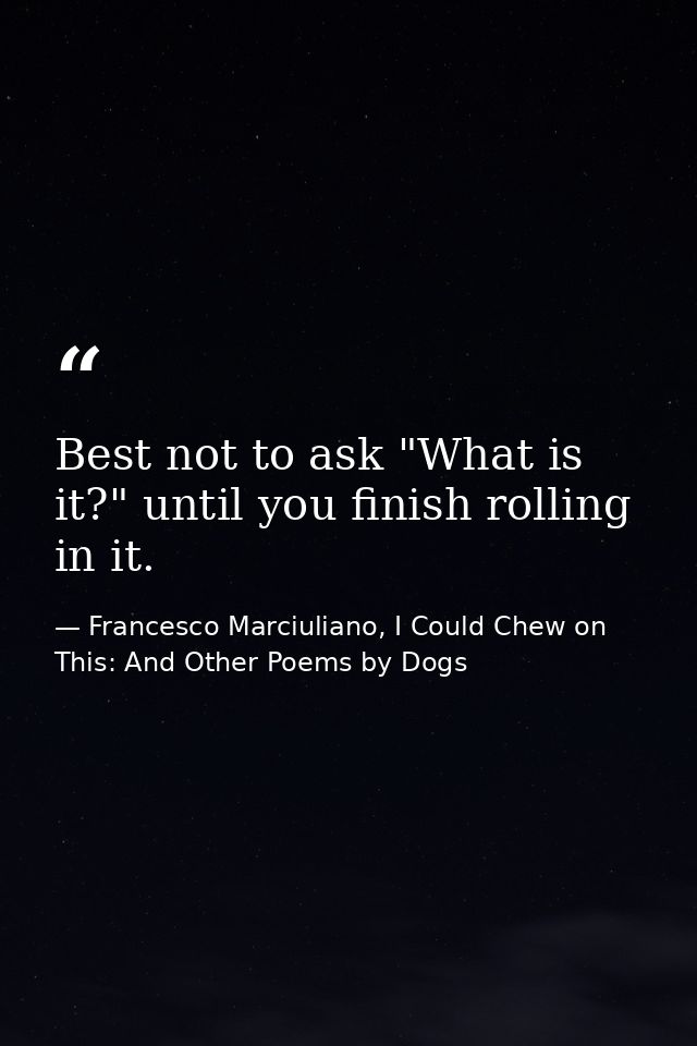 Best not to ask "What is it?" until you finish rolling in it. — Francesco Marciuliano, I Could Chew on This: And Other Poems by Dogs