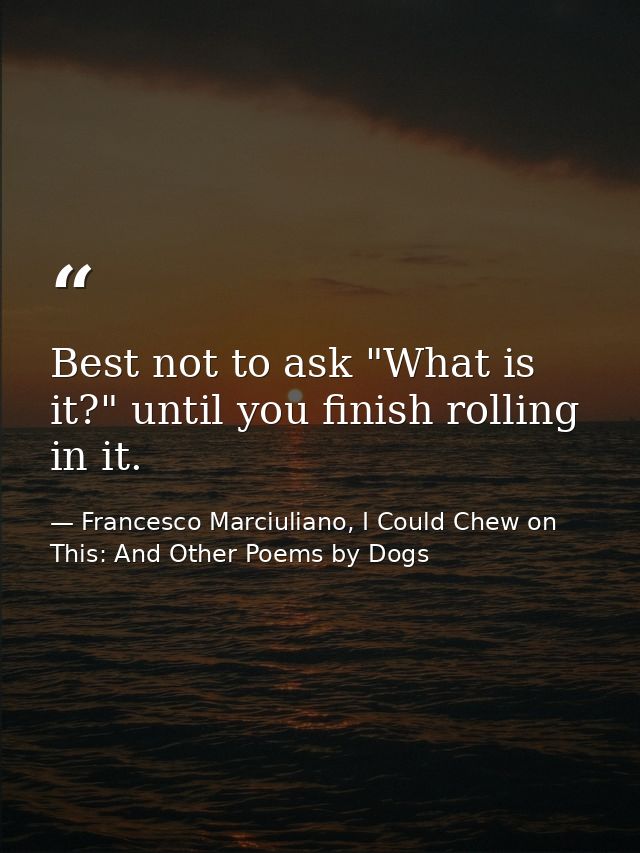 Best not to ask "What is it?" until you finish rolling in it. — Francesco Marciuliano, I Could Chew on This: And Other Poems by Dogs
