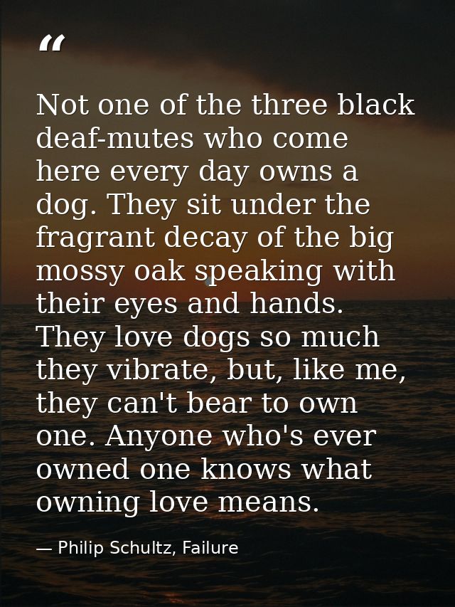Not one of the three black deaf-mutes who come here every day owns a dog. They sit under the fragrant decay of the big m — Philip Schultz, Failure