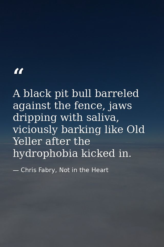 A black pit bull barreled against the fence, jaws dripping with saliva, viciously barking like Old Yeller after the hydr — Chris Fabry, Not in the Heart