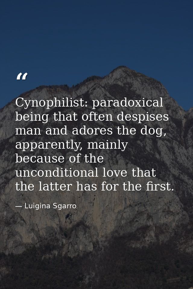 Cynophilist: paradoxical being that often despises man and adores the dog, apparently, mainly because of the uncondition — Luigina Sgarro