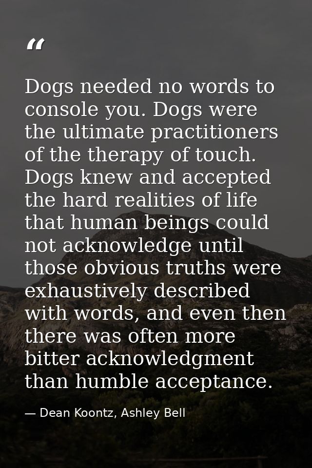 Dogs needed no words to console you. Dogs were the ultimate practitioners of the therapy of touch. Dogs knew and accepte — Dean Koontz, Ashley Bell