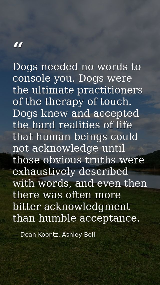 Dogs needed no words to console you. Dogs were the ultimate practitioners of the therapy of touch. Dogs knew and accepte — Dean Koontz, Ashley Bell