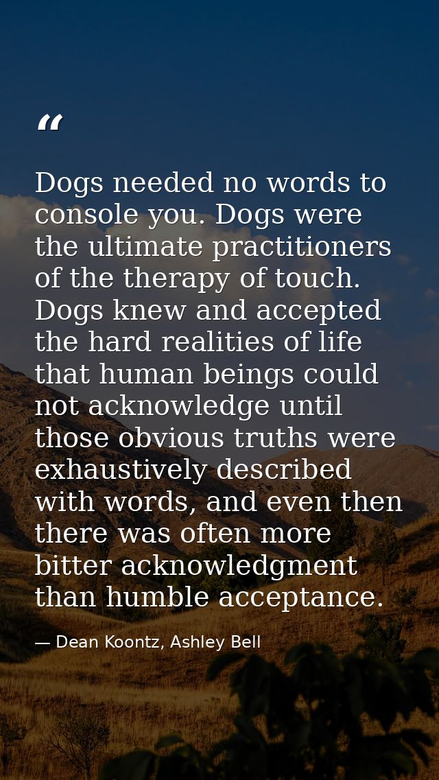 Dogs needed no words to console you. Dogs were the ultimate practitioners of the therapy of touch. Dogs knew and accepte — Dean Koontz, Ashley Bell