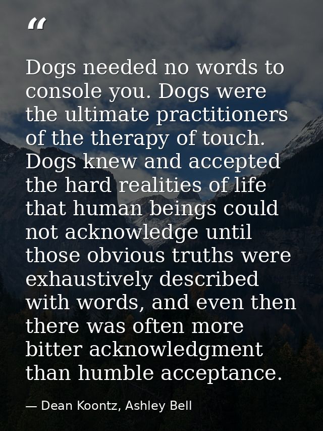 Dogs needed no words to console you. Dogs were the ultimate practitioners of the therapy of touch. Dogs knew and accepte — Dean Koontz, Ashley Bell