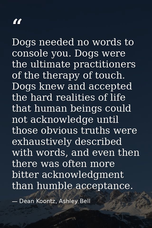 Dogs needed no words to console you. Dogs were the ultimate practitioners of the therapy of touch. Dogs knew and accepte — Dean Koontz, Ashley Bell