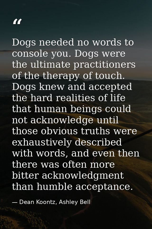 Dogs needed no words to console you. Dogs were the ultimate practitioners of the therapy of touch. Dogs knew and accepte — Dean Koontz, Ashley Bell
