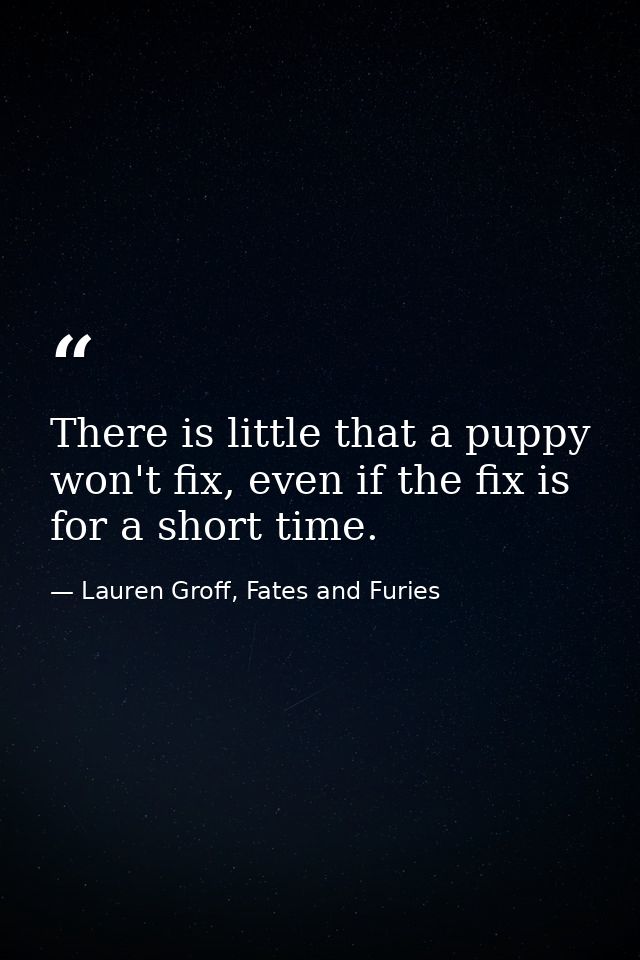 There is little that a puppy won't fix, even if the fix is for a short time. — Lauren Groff, Fates and Furies
