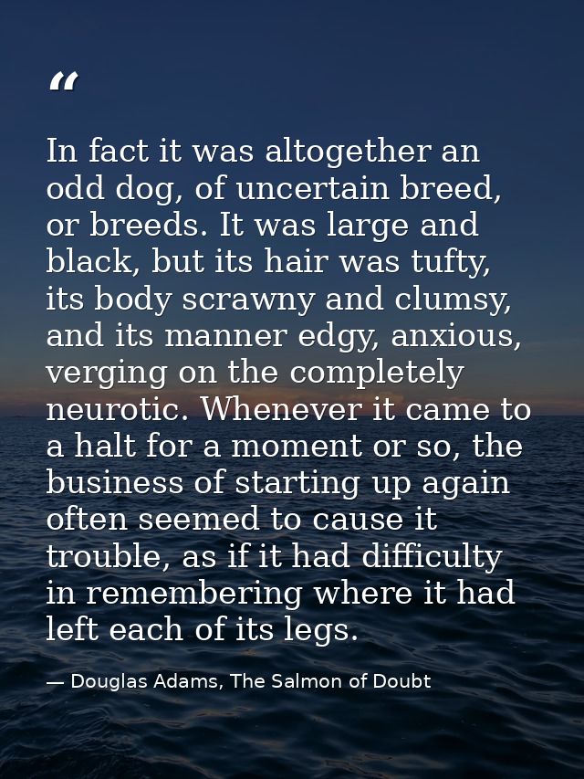 In fact it was altogether an odd dog, of uncertain breed, or breeds. It was large and black, but its hair was tufty, its — Douglas Adams, The Salmon of Doubt