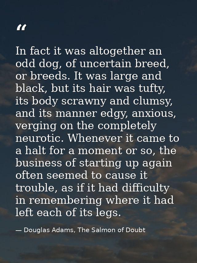 In fact it was altogether an odd dog, of uncertain breed, or breeds. It was large and black, but its hair was tufty, its — Douglas Adams, The Salmon of Doubt