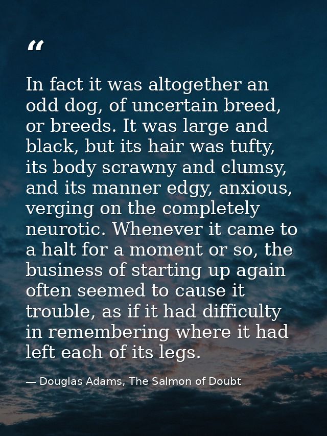 In fact it was altogether an odd dog, of uncertain breed, or breeds. It was large and black, but its hair was tufty, its — Douglas Adams, The Salmon of Doubt