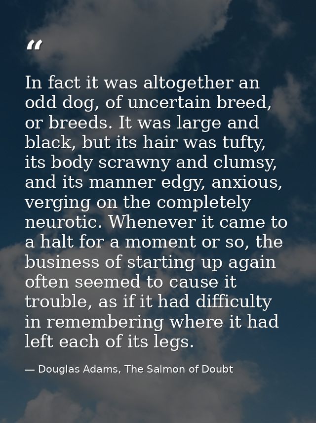 In fact it was altogether an odd dog, of uncertain breed, or breeds. It was large and black, but its hair was tufty, its — Douglas Adams, The Salmon of Doubt