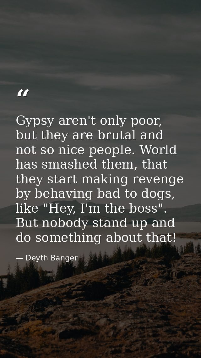 Gypsy aren't only poor, but they are brutal and not so nice people. World has smashed them, that they start making reven — Deyth Banger