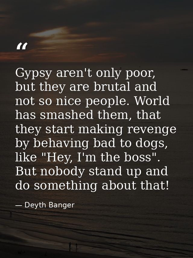Gypsy aren't only poor, but they are brutal and not so nice people. World has smashed them, that they start making reven — Deyth Banger