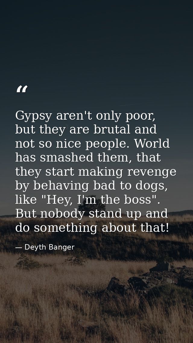 Gypsy aren't only poor, but they are brutal and not so nice people. World has smashed them, that they start making reven — Deyth Banger