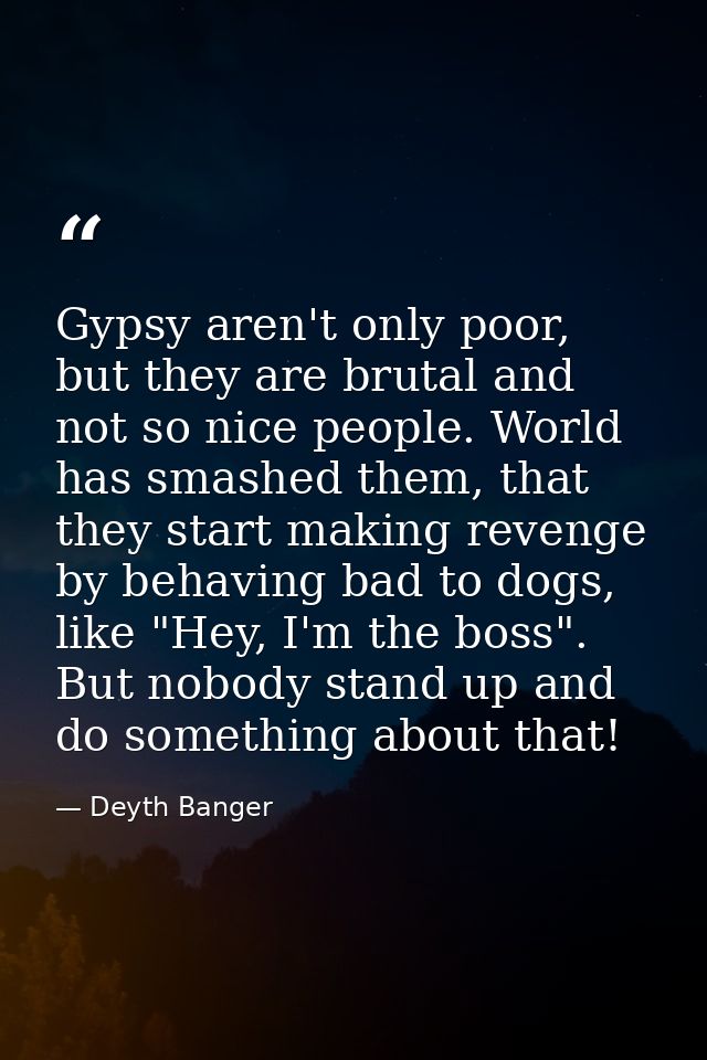 Gypsy aren't only poor, but they are brutal and not so nice people. World has smashed them, that they start making reven — Deyth Banger