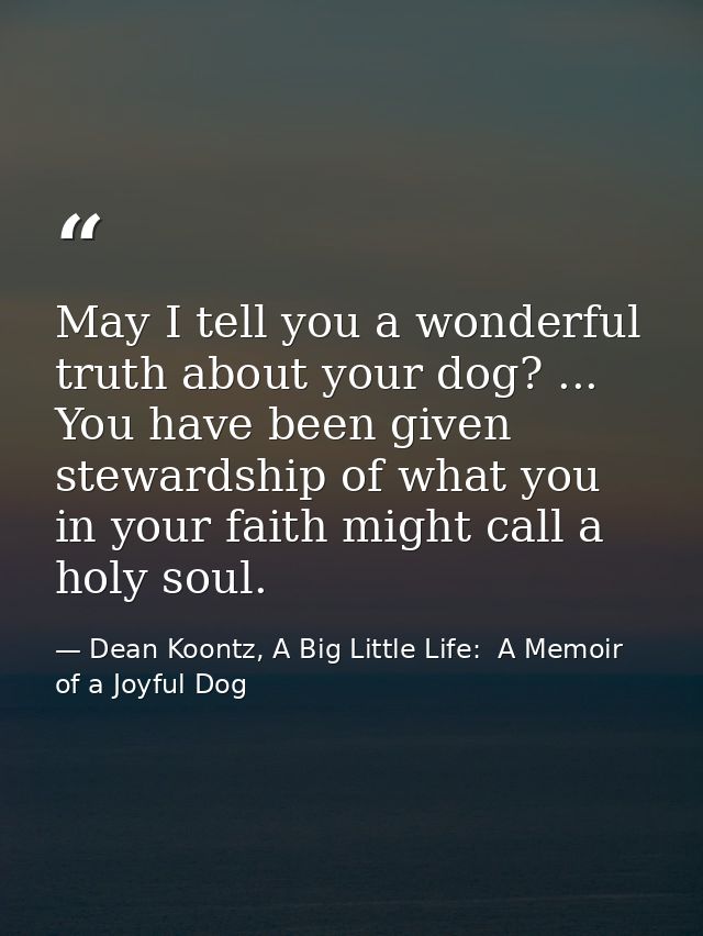 May I tell you a wonderful truth about your dog? ... You have been given stewardship of what you in your faith might cal — Dean Koontz, A Big Little Life:  A Memoir of a Joyful Dog