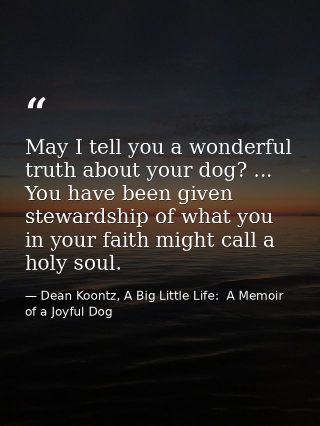 May I tell you a wonderful truth about your dog? ... You have been given stewardship of what you in your faith might cal — Dean Koontz, A Big Little Life:  A Memoir of a Joyful Dog