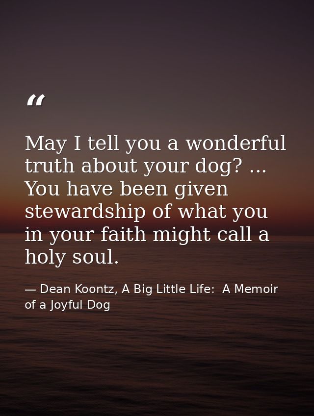 May I tell you a wonderful truth about your dog? ... You have been given stewardship of what you in your faith might cal — Dean Koontz, A Big Little Life:  A Memoir of a Joyful Dog