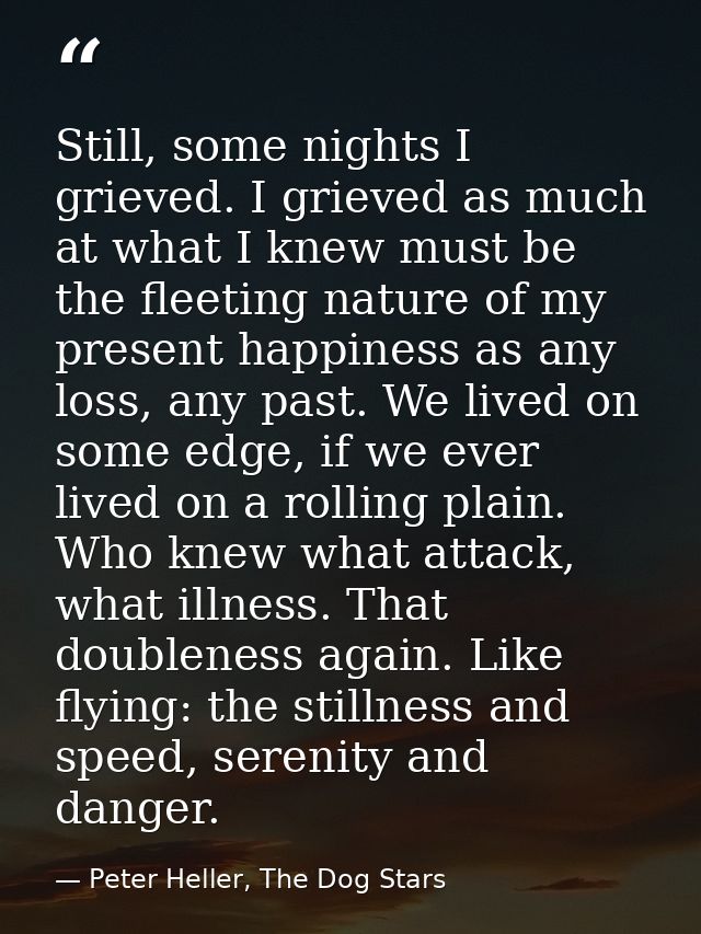 Still, some nights I grieved. I grieved as much at what I knew must be the fleeting nature of my present happiness as an — Peter Heller, The Dog Stars