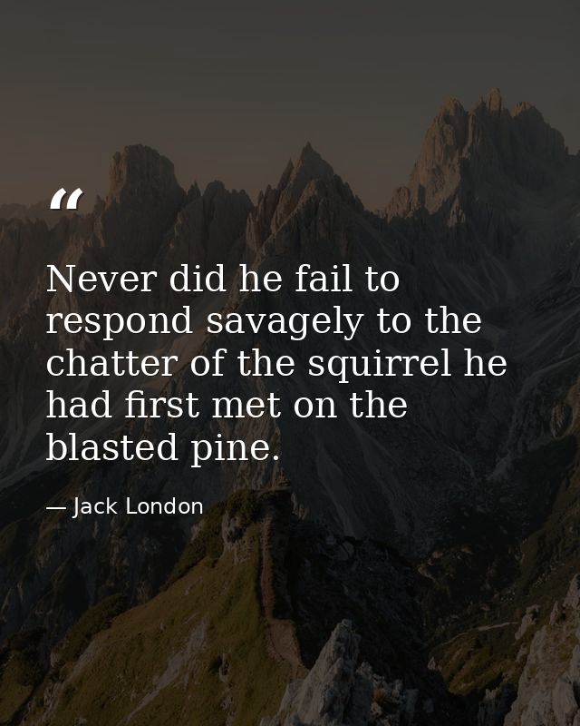 Never did he fail to respond savagely to the chatter of the squirrel he had first met on the blasted pine. — Jack London