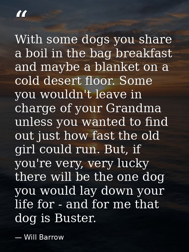 With some dogs you share a boil in the bag breakfast and maybe a blanket on a cold desert floor. Some you wouldn't leave — Will Barrow